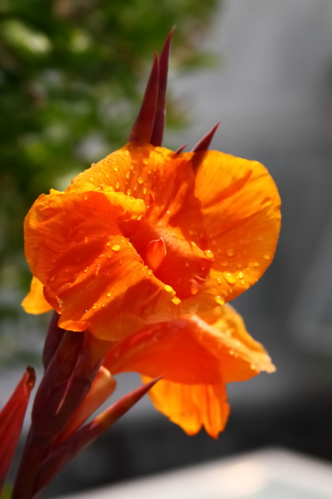 2012 07 26 9678